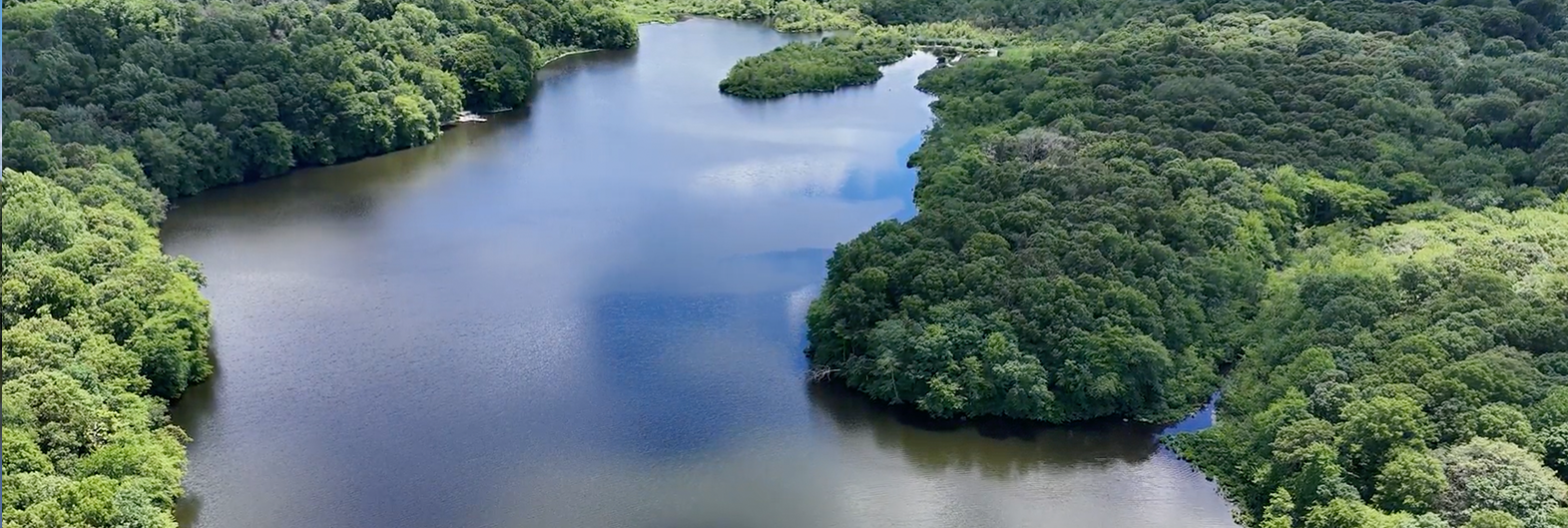Stump Pond Aerial View 4